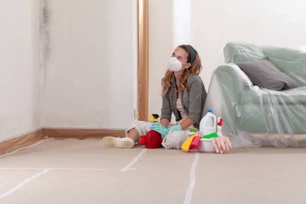Reliable Commercial Mold Remediation contractor in Allenwood, NJ by 24 Hour Mold Removal